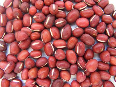 adzukibohnen_1.jpg adzukibohnen_1.jpg