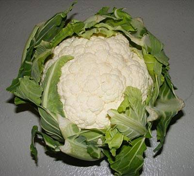 blumenkohl_6.jpg blumenkohl_6.jpg