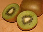 kiwib.jpg kiwib.jpg