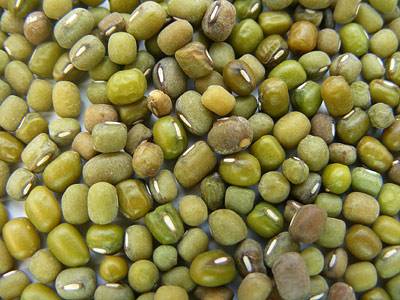 mungbohnen_1.jpg