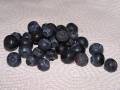 blaubeere3.jpg
