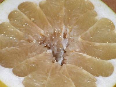 pomelo2b.jpg