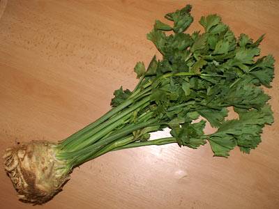 sellerie1.jpg sellerie1.jpg