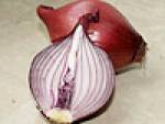 zwiebel_b.jpg zwiebel_b.jpg
