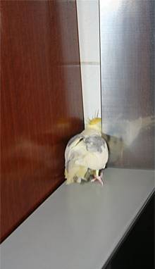 gefahr_2.jpg
