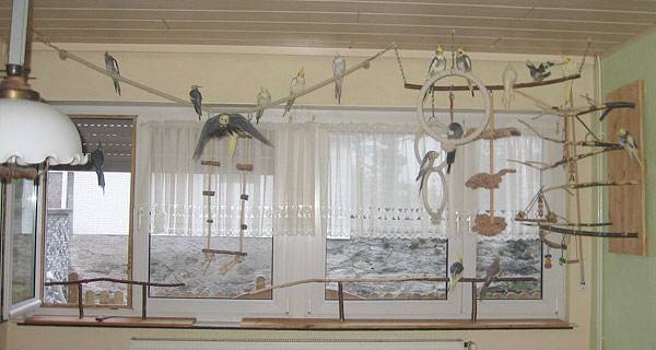 pinole_vz1_4.jpg