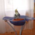 vogelwohnzimmer_17.jpg