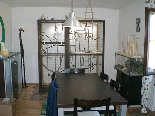 vogelwohnzimmer_bine_1.jpg