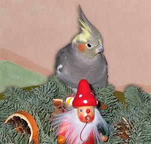 weihnachten_deko_2.jpg
