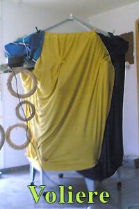 wally_aspergillose1.jpg