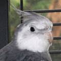 claudia.jpg