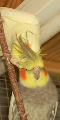 claudia1.jpg