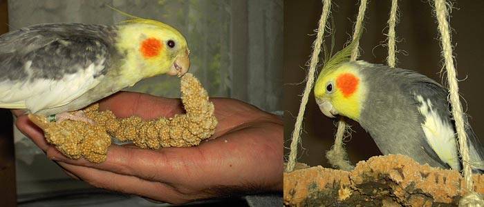 claudia3.jpg