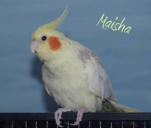 jutta_maisha.jpg