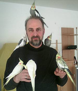 vertrauen_vogelbaum.jpg